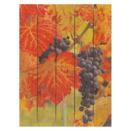 RICKI&APOSS RUGS 28 x 36 in. Summer Harvest Inside & Outside Cedar Wall Art RI263691